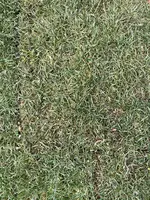 IMG_1486.webp