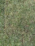 IMG_1486.jpeg