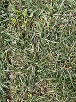 IMG_1487.webp