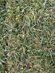 IMG_1487.jpeg
