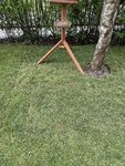 IMG_1475.jpeg