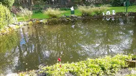 20210504_175050.webp
