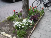 P1030452.webp