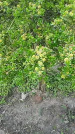 20210503_162620.webp