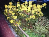 DSC01680.JPG