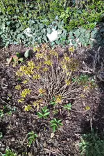 IMG_20210427_0829175.webp