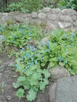 IMG_20210504_161739.jpg