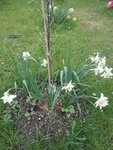 IMG_20210504_161547.jpg