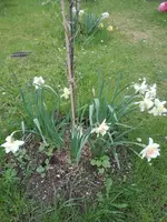 IMG_20210504_161547.jpg