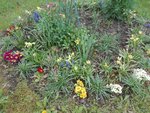 IMG_20210504_161509.jpg