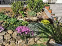 IMG_20210505_081939.webp