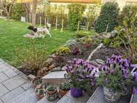 IMG_20210421_183339.webp