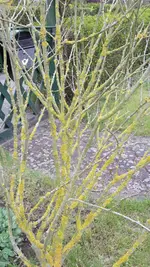 IMG-20210503-WA0001.webp