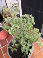 IMG_20210505_195802.webp