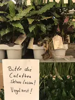 5385FC6F-366E-4A42-A4E0-E0B5136A8294.jpeg 5385FC6F-366E-4A42-A4E0-E0B5136A8294.jpeg