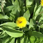 96F0EFAE-F24D-40BD-B3A6-E48E41544E72.webp