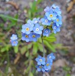 IMG_20210501_180954.jpg