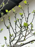 IMG_20210507_131804.webp