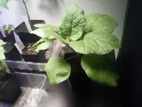IMG_20210507_195458.webp