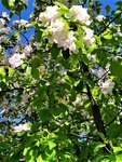 IMG_20210426_152615_1.jpg