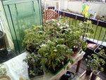 IMG_20210508_101508.jpg