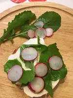 Frühstückradies.webp