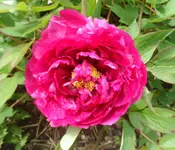 SAM_2414.webp