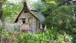 20190425_124911.webp