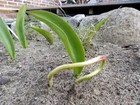 DSCN2944.webp