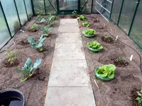 DSCN2945.webp