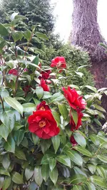 20210508_140236.webp