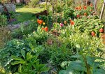 Staudenbeet am 9.5.2021.jpg