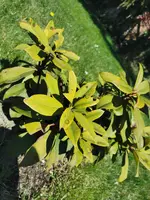 IMG_20210420_134016.webp