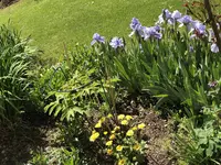 IMG_6293[1].webp