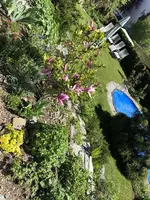 IMG_6289[1].webp