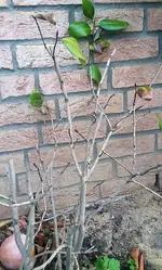 20210509_151812.webp