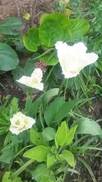 20210509_155234.webp