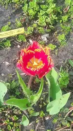20210509_160550.webp