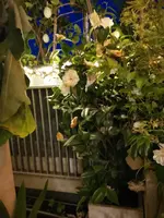 IMG_20210509_220533.webp