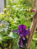 IMG_20210509_122130.jpg