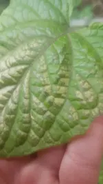 16206395537945709400247363728408.jpg