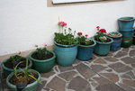 Frühling    0221.JPG