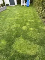 IMG_3230.jpeg