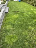 IMG_3229.jpeg