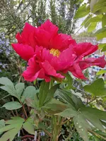 IMG_20210511_151556.webp