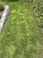 IMG_3228.webp
