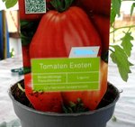 Tomaten 3 (2)_LI.jpg