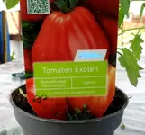 Tomaten 3 (2)_LI.webp