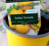 Tomaten 6 (2)_LI.webp