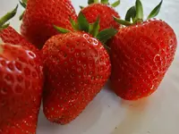 DSC01320.webp